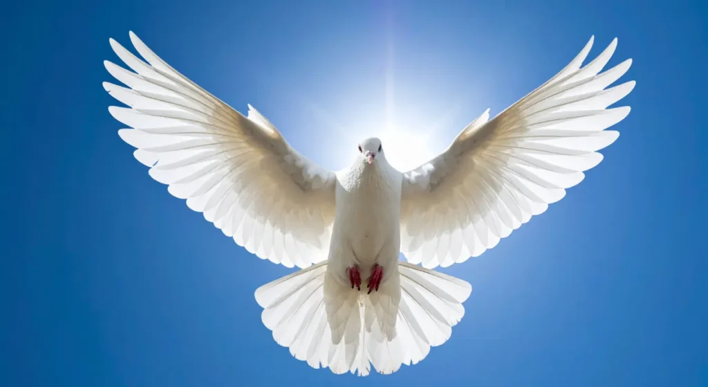 Rotting the Holy Ghost